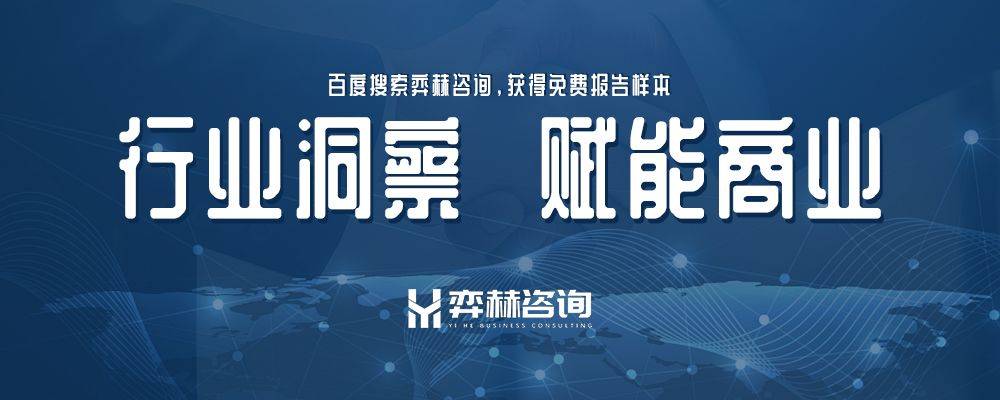 2025年外墙梯子市场尊龙凯时网站全面分析(图3)